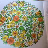 Johanna Basford | Colouring Gallery