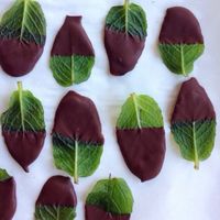 USE KETO CHOCOLATE