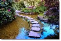Stepping stone water garden.