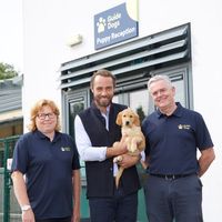 Ella & Co on Instagram: "This is Bertie 🐾 named after Queen Elizabeth’s father, Albert. The Queen dedicated her life to service, and it’s with great pride that I can announce that Bertie has been chosen to dedicate his life to service, too... 💙 After Mabel had her litter I wanted to donate a puppy to become a future assistance dog. This is where Guide Dogs came in and Bertie’s journey began! I was so proud to hand him to this incredible charity, and will also be endeavouring to raise the £60,0