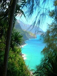 The Big Island, typically known as ‘Hawaii’ or the ‘Orchid Isle’ is the most visited island in the group, simply as it is the main point of call for travellers who want to move onto the other islands. Not only is it bigger than all the other islands combined, but 11 out of the world’s 13 climatic zones exist here, offering tourists white sands, thunderous rainfalls and beautiful sunshine, usually all in the same day!
