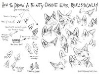 How to Draw Canine Ears Tutorial #1 by kenket on @DeviantArt