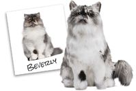 Cuddle Clones: http://www.cuddleclones.com/products.html?aff_id=1246 Use coupon code FLOPPYCATS10 to get 10% off your order