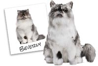 Cuddle Clones: http://www.cuddleclones.com/products.html?aff_id=1246   Use coupon code FLOPPYCATS10 to get 10% off your order