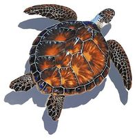 Product Information: Add character, color and life to your backyard oasis with stunning frost proof porcelain Shadow Turtle Mosaic. Experience the realism of our mosaics. Mosaics captures more than just your attention, they capture your imagination! Product Specifications: Screen Printed, Waterjet Cut from 24" square Porcelain Tile Frost Proof Porcelain Mesh Mounted; Ready for Installation Approximately 3/8" Thick Guaranteed for the Life of the Application