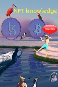 Learn about non fungible tokens