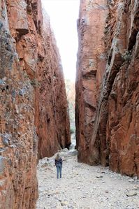 The most extensive travel guide with things to do in Alice Springs and Central Australia, the place where Australian Outback is a lifestyle!#travelCentralAustralia #traveltipsforCentralAustralia #visitAliceSprings #AustralianOutbacktravel