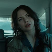 donna troy icon