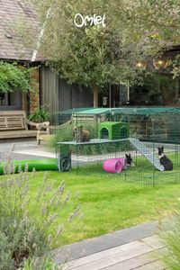 Give your rabbits more space with Zippi Rabbit Platforms from Omlet. Designed to easily clip onto the enclosed, double height Zippi Runs, these strong platforms enrich your bunny’s run with new areas to explore. Hopping up and down the ramp will strengthen your pet’s muscles and by adding a Zippi Shelter and Caddi Treat Holder you can stimulate more of their senses in new and exciting ways.