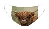 Close-up portrait of a long-haired Scottish Highland Cow Face Mask.