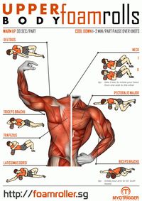 Foam Roller Exercises Infographic for Upper Body