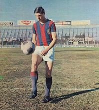 Lobo Fischer