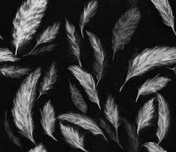 White Out Feathers in Black from Brett Design #black #white #feathers #pattern #wallcoverings #fabric #interiordesign #designinspiration #thetextilefiles #clothandkindinteriordesign #brettdesign