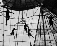 Original Art Black & White/Papel Photography, measuring: 40W x 30H x 0D cm, by: Leo Matiz (United States). Styles: Abstract Expressionism, Conceptual, Fine Art, Folk. Subject: Abstract. Keywords: Acrobatas, Circo, Abstracto, Macondo, Bailarinas. This Black & White/Papel Photography is one of a kind and once sold will no longer be available to purchase. Buy art at Saatchi Art.