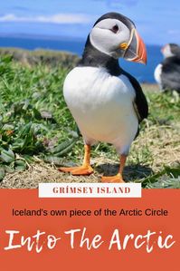 The remote island of Grímsey is best known as Iceland’s only true piece of the Arctic Circle. It's 40km from the mainland Akureyri. It's a serene little place where birds outnumber people by about 10,000 to one. Aside from crossing the Arctic Circle -- a major bucket list item -- it's a great place to bird watch, see puffins, and see the Northern Lights. #Iceland #Akureyri #GrímseyIsland #arctic #puffins #NorthernLights #BirdWatching #BucketList