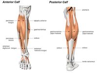 6 Ways to Deal with Calf Strain as a Runner + I Tried Dry Needling