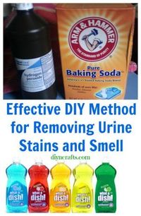 Effective DIY Method for Removing Urine Stains and Smell {Recipe} - DIY & Crafts