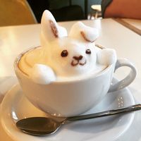 Latte Art 3Dラテアートbunny