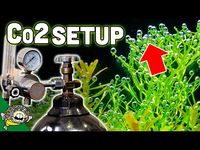 How To Set Up Aquarium Co2 System - The EASY Way - YouTube