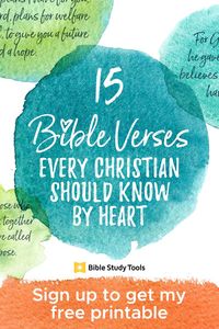 Get your FREE Top 15 Bible Verses Printable and get encouragement from the Bible in your inbox. "But seek first the kingdom of God and His righteousness, and all these things will be added unto you." Matthew 6:33 #bible #verses #freeprintable #freedownload