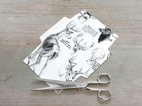 How to Make an Envelope From Recycled Paper