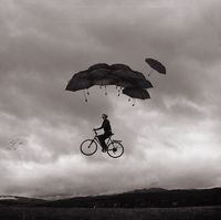 Joel Robison - Google Search