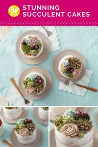 Learn how to use the decorating tips in your collection to create amazing blooming succulents. Great for tea parties, birthdays, bridal showers and weddings, these stunning mini cakes are a great way to showcase your decorating skills. Mix and match succulent styles and colors to create the edible garden of your dreams!