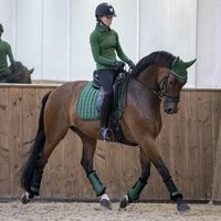 LeMieux's Loire Classic Dressage Saddle Pad is described as the most stylish saddle pad that LeMieux has ever produced. The woven satin fabric gives a beautiful sheen whilst still benefiting from the wonderfully soft bamboo lining. The 100% natural bamboo material controls heat and wicks away moisture efficiently to keep your horse cool whilst exercising. The edges have been smoothly contoured due to being designed with the new extensively researched soft friction suede binding, this technique h