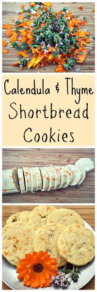 Make delicious flower and herb flavored shortbread cookies with calendula and thyme!