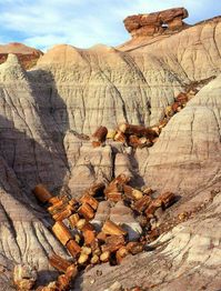 Bucket list item: Visit the Petrified Forest National Park in Arizona Amazing Geologist #roadtripitems