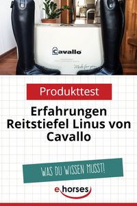 #pferde #reiten #cavallo #linusjump #reitstiefel #testen #produktetesten #erfahrungen #horse #produkttest