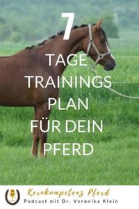 So trainierst du dein Pferd, damit es gesund bleibt. Trainingsplan für das Jahr, das Quartal und die Woche aus tierärztlicher Sicht! Genauso wichtig die richtige Pferdefütterung sowie eine regelmäßige Betreuung eines Physiotherapeuten. Reiten, Füttern, Fit halten! #pferdegesundheit #pferdewissen #pferde #reiten