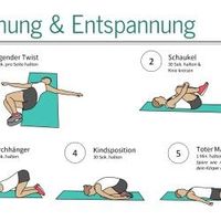 Kurzes Rückenfit Workout für den Unterricht #sportunterricht #sportlehrer #sportlehrerin