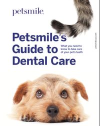 ... include how to train so you can brush their teeth