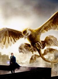 Discover which creature from 'Fantastic Beasts and Where to Find Them' you're most like NOW!