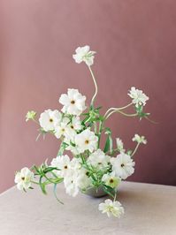 I am in love with this butterfly ranunculus arrangement!