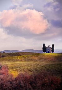 toscana