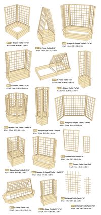 A trellis might be just what you need for patio privacy or a garden space saver.