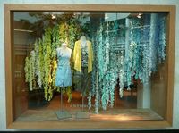 This is an analogous window display. The use of colors all adjacent to each other on the color wheel are pleasing to the eye. The window display is asymmetrical and uses vertical lines. Robyn Dickason