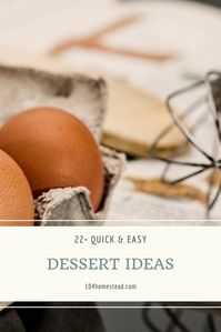 Scrambling to find a quick and easy dessert recipe you can whip up in under an hour? I've got a list of great options for you!