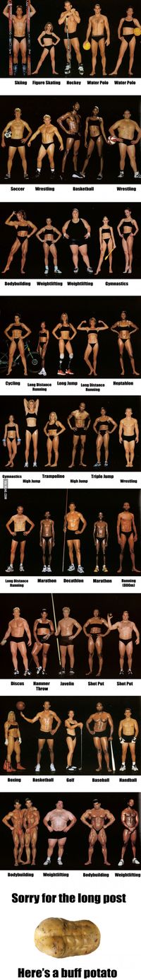 Different types of 'Fit' - the bodies of world class athletes