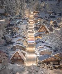 Innovation Of Nature on Instagram: “Japan Usually Gives Different Vibes 👍🇯🇵 #travel #nature #photography #travelphotography #love #photooftheday #instagood #travelgram…”