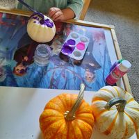 exploreforneurons posted on Instagram: “She asked ever so politely to buy a small pumpkin at the grocery store, um totally girl. . . . .…” • See all of @exploreforneurons's photos and videos on their profile.