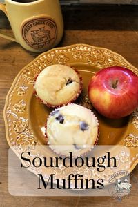 Sourdough Muffins with Berries and Bananas - Timber Creek Farm