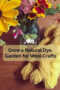 Grow Natural Dyes for Wool Crafts - Timber Creek Farm