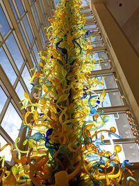 My Favorite Oklahoma City Attractions - Adventuring Woman