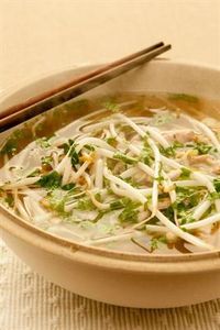 16 Deliciously Healthy Ways to Eat More Bean Sprouts: Cheat n' Eat Vietnamese Chicken Noodle Soup with Garlic, Red Pepper Flakes, Fresh Cilantro, Green Onion, Fresh Basil.