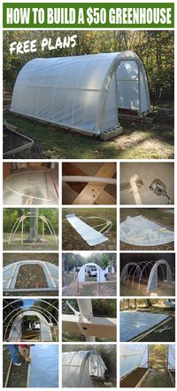 Greenhouse