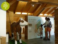 Maison du Fromage Abondance - Guides du Patrimoine Savoie Mont Blanc