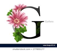 Letter G vector alphabet with gerbera flower. ABC concept type as logo. Typography design